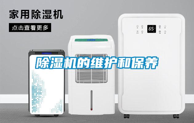 麻豆视频黄网站的维护和保养