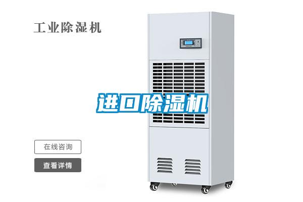 进口麻豆视频黄网站