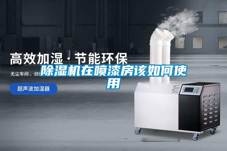 麻豆视频黄网站在喷漆房该如何使用