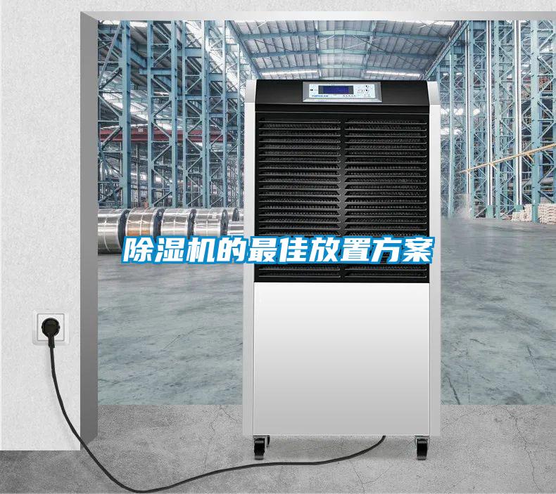 麻豆视频黄网站的最佳放置方案