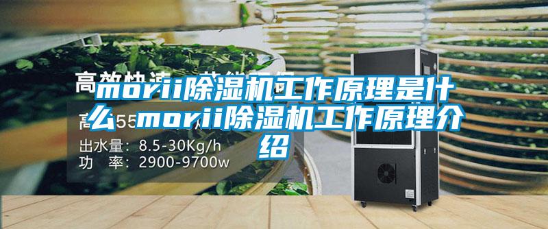 morii麻豆视频黄网站工作原理是什么 morii麻豆视频黄网站工作原理介绍