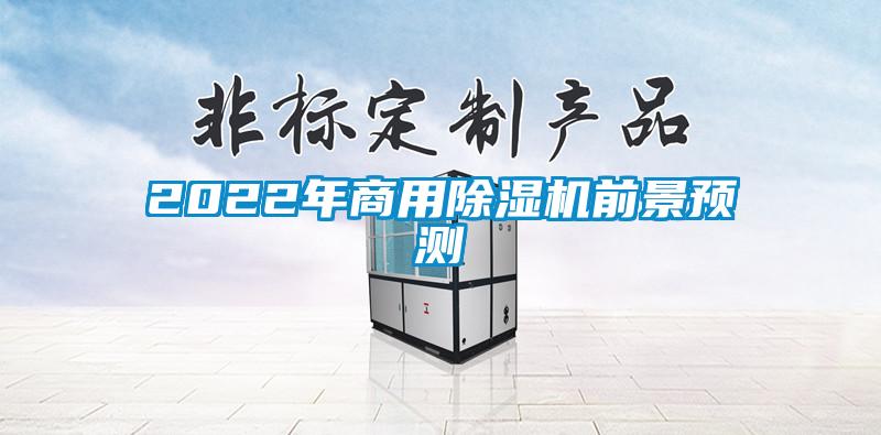 2022年商用麻豆视频黄网站前景预测