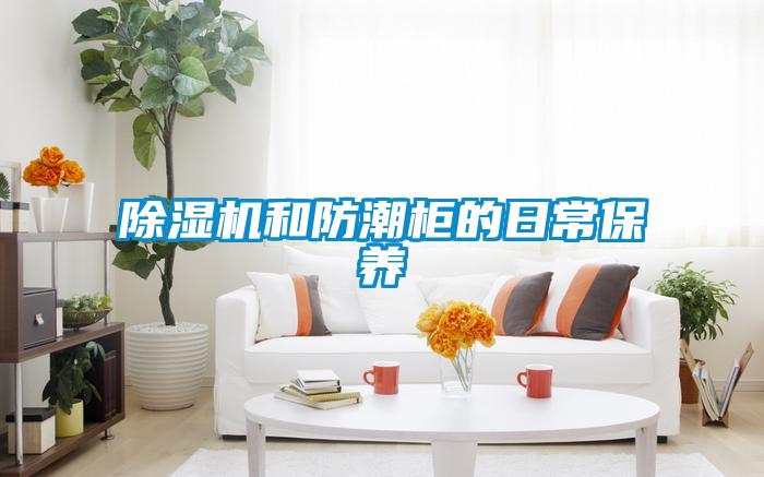 麻豆视频黄网站和防潮柜的日常保养