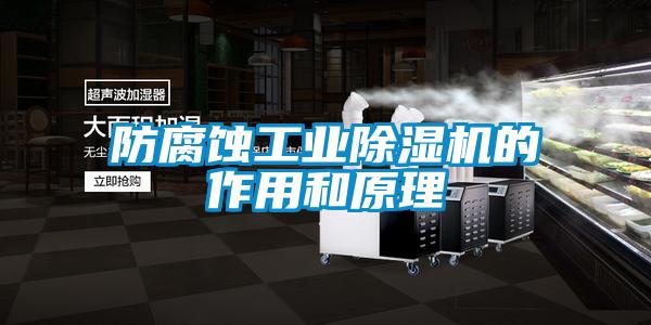 防腐蚀工业麻豆视频黄网站的作用和原理