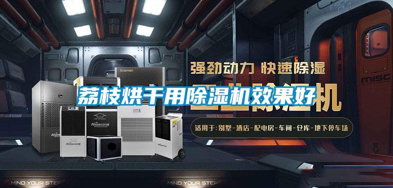 荔枝烘干用麻豆视频黄网站效果好