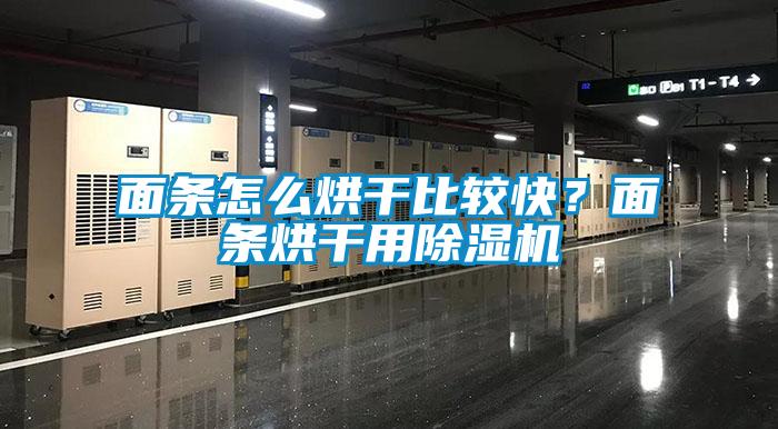 面条怎么烘干比较快？面条烘干用麻豆视频黄网站