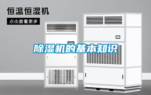 麻豆视频黄网站的基本知识