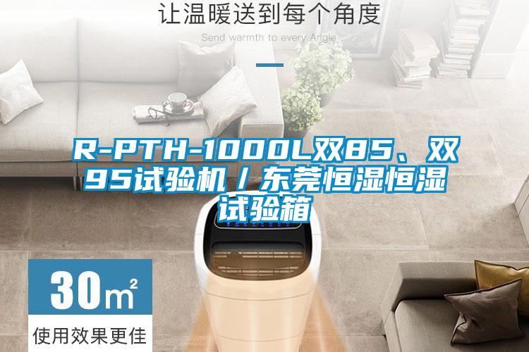 R-PTH-1000L双85、双95试验机／东莞恒湿恒湿试验箱
