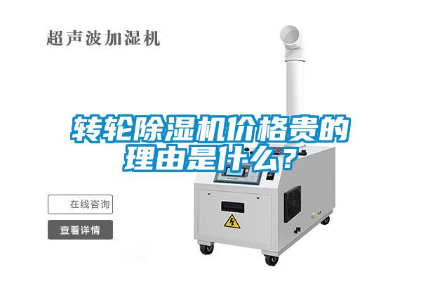转轮麻豆视频黄网站价格贵的理由是什么？