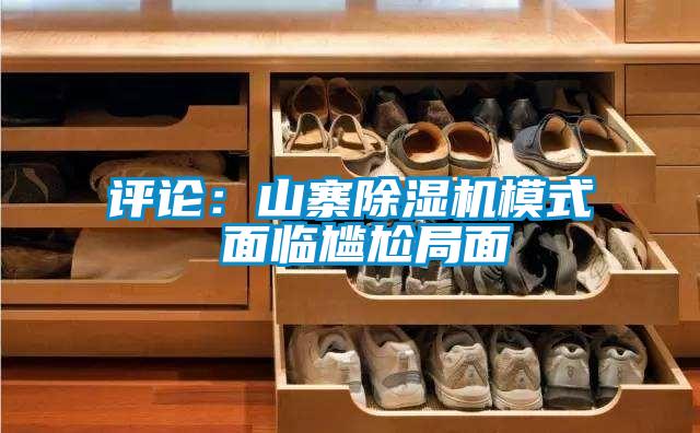 评论：山寨麻豆视频黄网站模式 面临尴尬局面