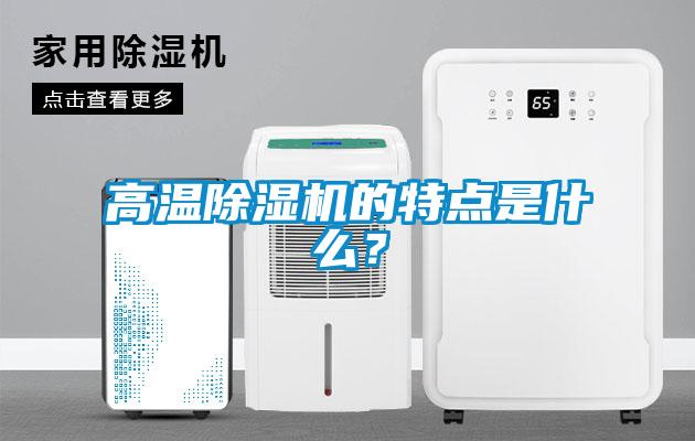 高温麻豆视频黄网站的特点是什么？