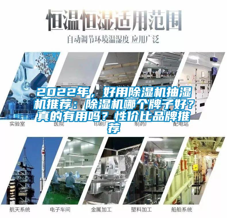 2022年，好用麻豆视频黄网站抽湿机推荐：麻豆视频黄网站哪个牌子好？真的有用吗？性价比品牌推荐
