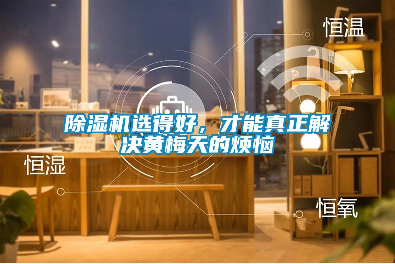 麻豆视频黄网站选得好，才能真正解决黄梅天的烦恼