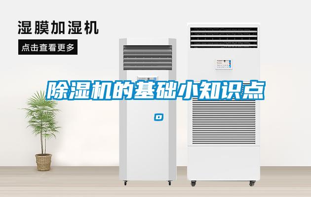 麻豆视频黄网站的基础小知识点。