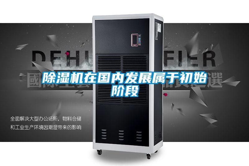 麻豆视频黄网站在国内发展属于初始阶段