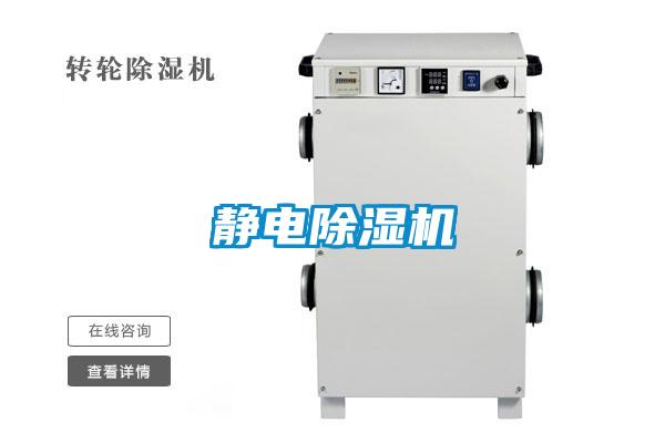 静电麻豆视频黄网站