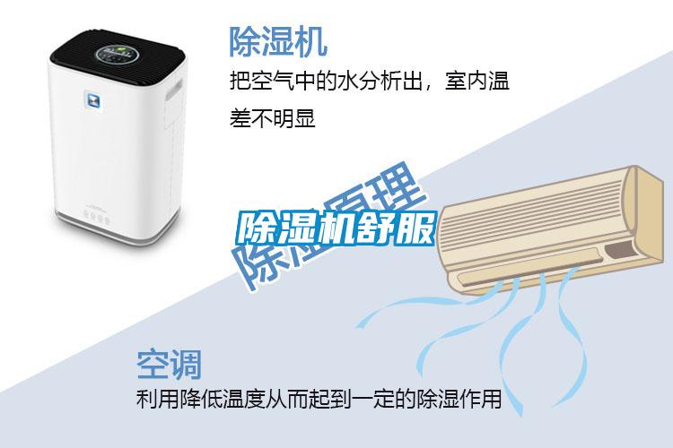 麻豆视频黄网站舒服