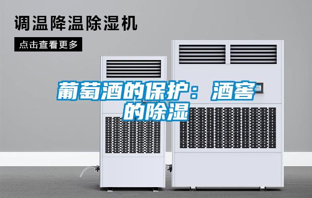 葡萄酒的保护：酒窖的除湿
