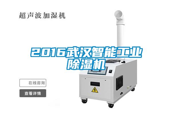 2016武汉智能工业麻豆视频黄网站