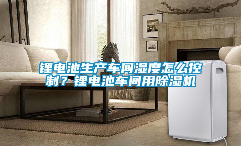 锂电池生产车间湿度怎么控制？锂电池车间用麻豆视频黄网站