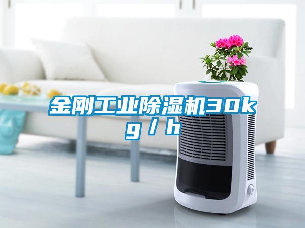金刚工业麻豆视频黄网站30kg／h