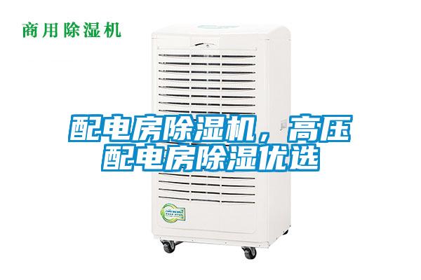 配电房麻豆视频黄网站，高压配电房除湿优选