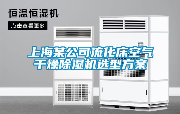 上海某公司流化床空气干燥麻豆视频黄网站选型方案