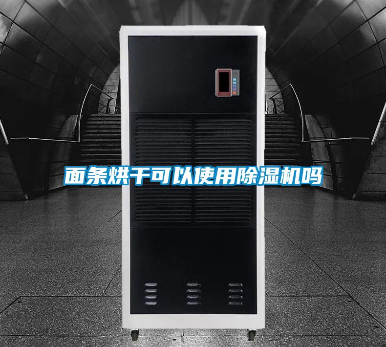 面条烘干可以使用麻豆视频黄网站吗