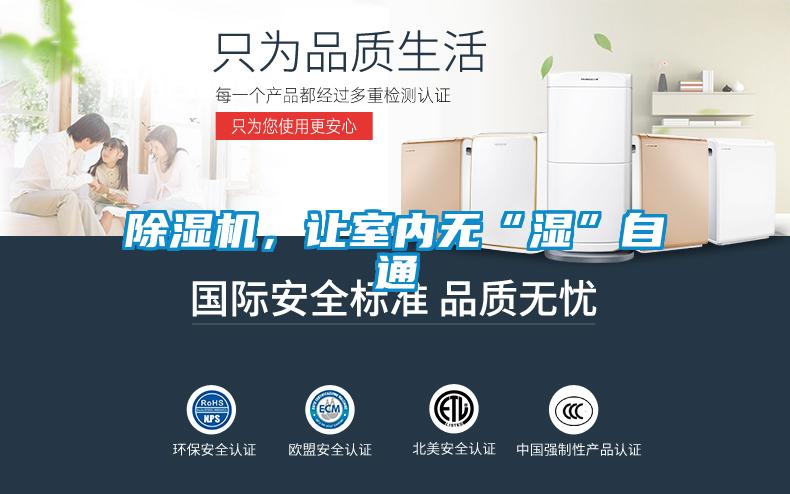 麻豆视频黄网站，让室内无“湿”自通
