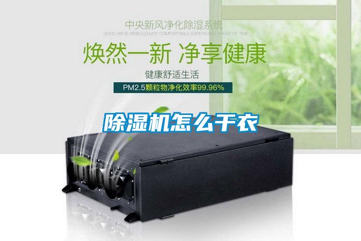 麻豆视频黄网站怎么干衣