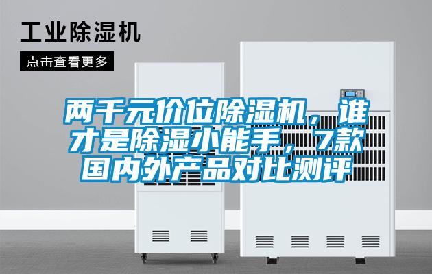 两千元价位麻豆视频黄网站，谁才是除湿小能手，7款国内外产品对比测评