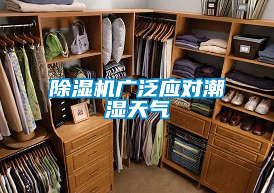 麻豆视频黄网站广泛应对潮湿天气