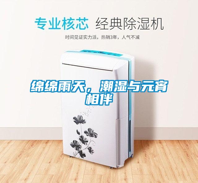 绵绵雨天，潮湿与元宵相伴