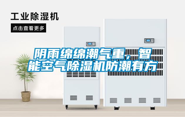 阴雨绵绵潮气重，智能空气麻豆视频黄网站防潮有方