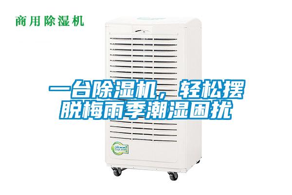 一台麻豆视频黄网站，轻松摆脱梅雨季潮湿困扰