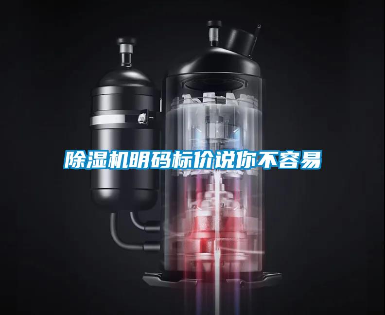 麻豆视频黄网站明码标价说你不容易