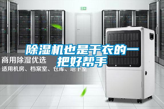 麻豆视频黄网站也是干衣的一把好帮手