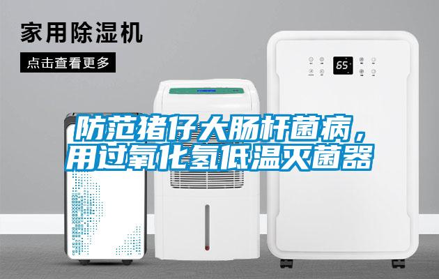防范猪仔大肠杆菌病，用过氧化氢低温灭菌器