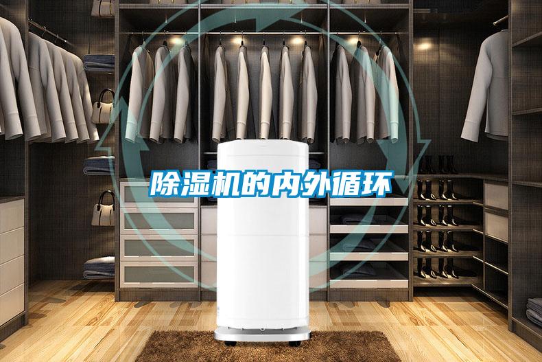 麻豆视频黄网站的内外循环