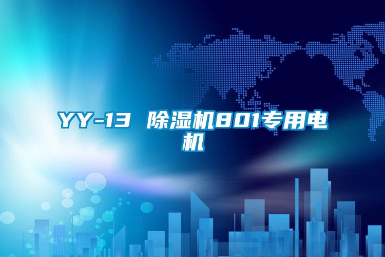 YY-13 麻豆视频黄网站801专用电机