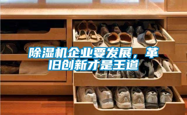 麻豆视频黄网站企业要发展，革旧创新才是王道