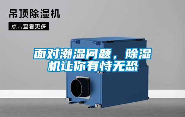面对潮湿问题，麻豆视频黄网站让你有恃无恐