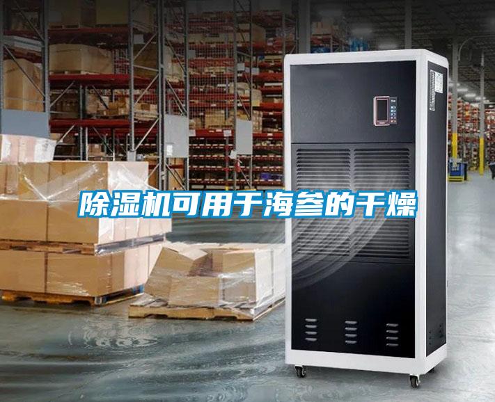 麻豆视频黄网站可用于海参的干燥