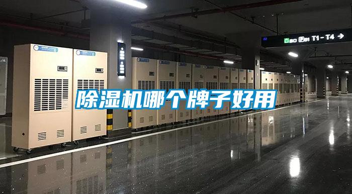 麻豆视频黄网站哪个牌子好用