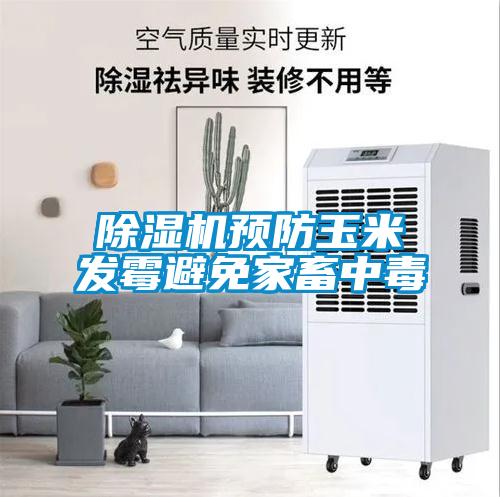 麻豆视频黄网站预防玉米发霉避免家畜中毒