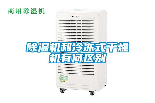 麻豆视频黄网站和冷冻式干燥机有何区别