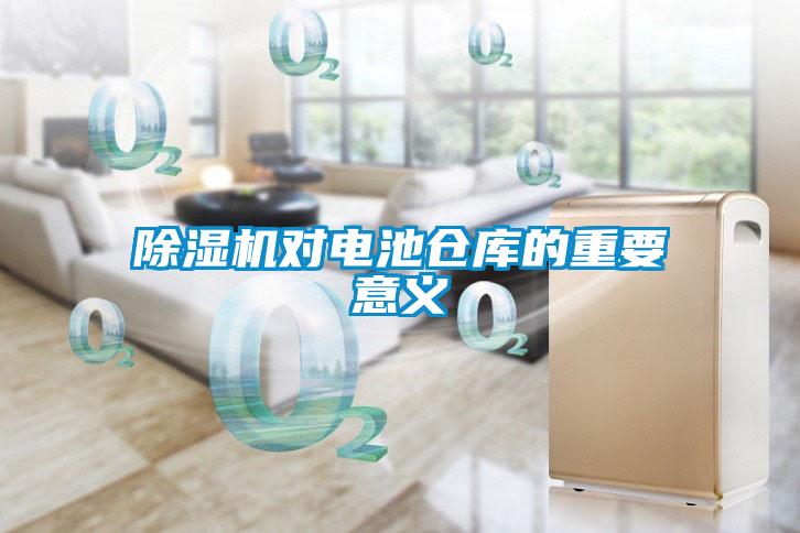 麻豆视频黄网站对电池仓库的重要意义