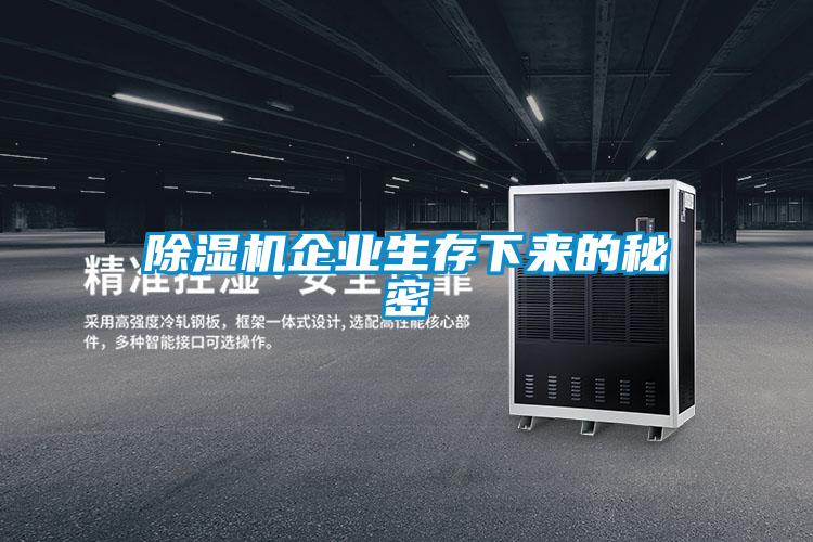 麻豆视频黄网站企业生存下来的秘密