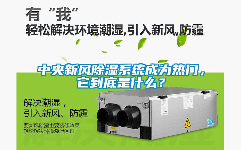 中央新风除湿系统成为热门，它到底是什么？