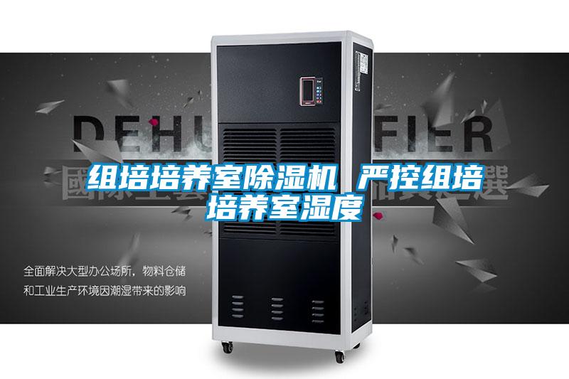 组培培养室麻豆视频黄网站 严控组培培养室湿度